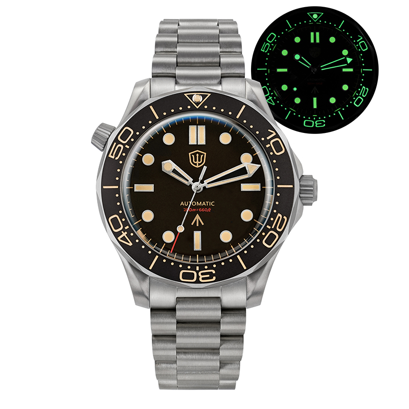 Watchdives WD007 V4 Mechanisch - Luxury Watch Grade recensie en prijs